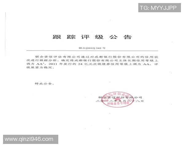 成都飞盘队最新状态分析与发展前景探讨